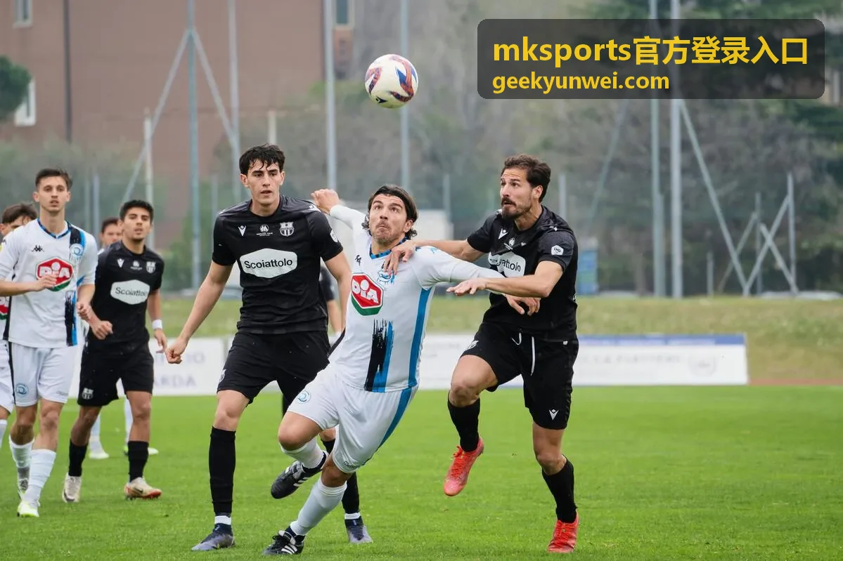 mksports官方登录入口找回流程信息准备示意图