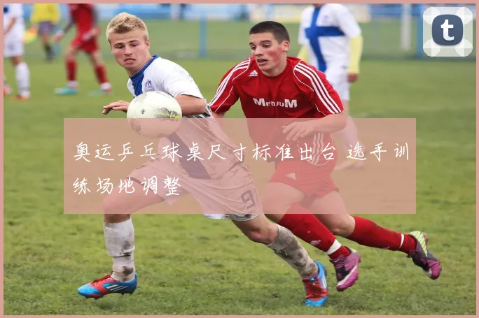 奥运乒乓球桌尺寸标准出台 选手训练场地调整